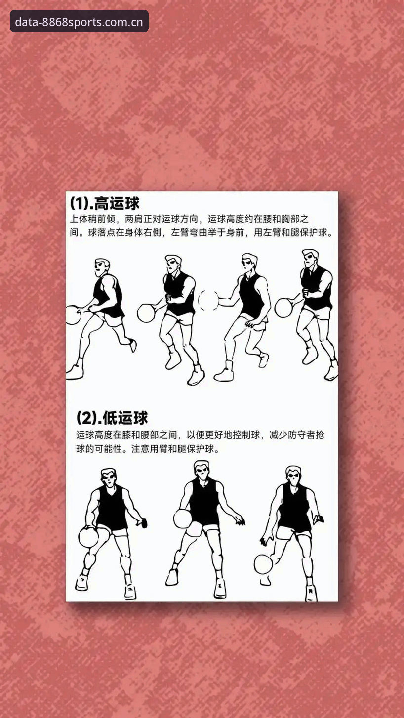 8868体育平台最新教程上线：从新手到高手的实战指南